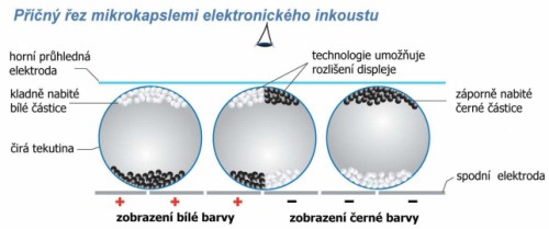 Příčný řez mikrokapslemi elektonického inkoustu